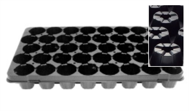 40 holes tray