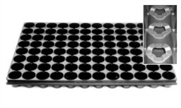 [COOTRA96] 96 holes tray