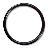 [IRGFILNW251ORK] Cintropur water filter NW25 1" O-ring